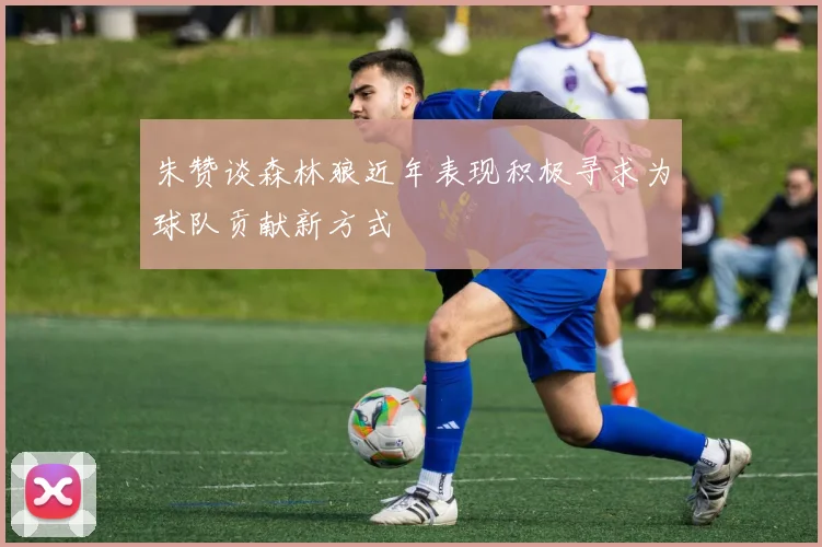 朱赞谈森林狼近年表现积极寻求为球队贡献新方式
